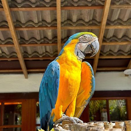 ホテル Chacara Comary Teresópolis エクステリア 写真